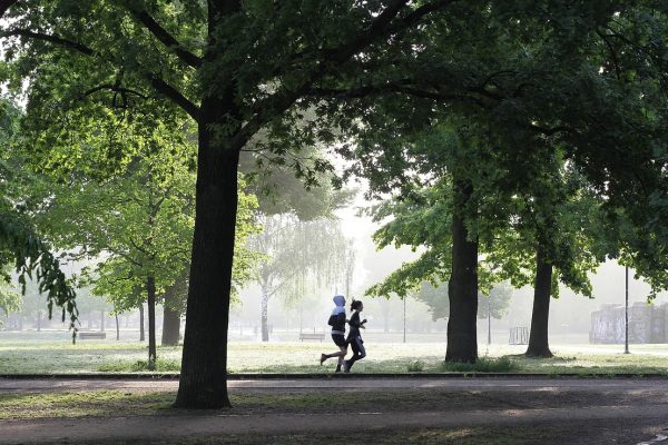 How Exercise Supports Mental Wellbeing