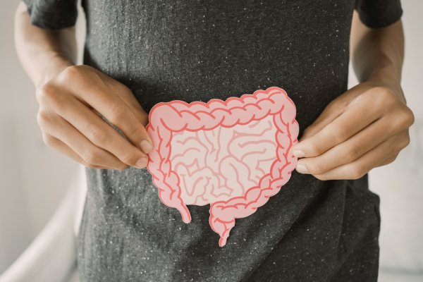 Gut health and mental health: understanding the gut–brain connection